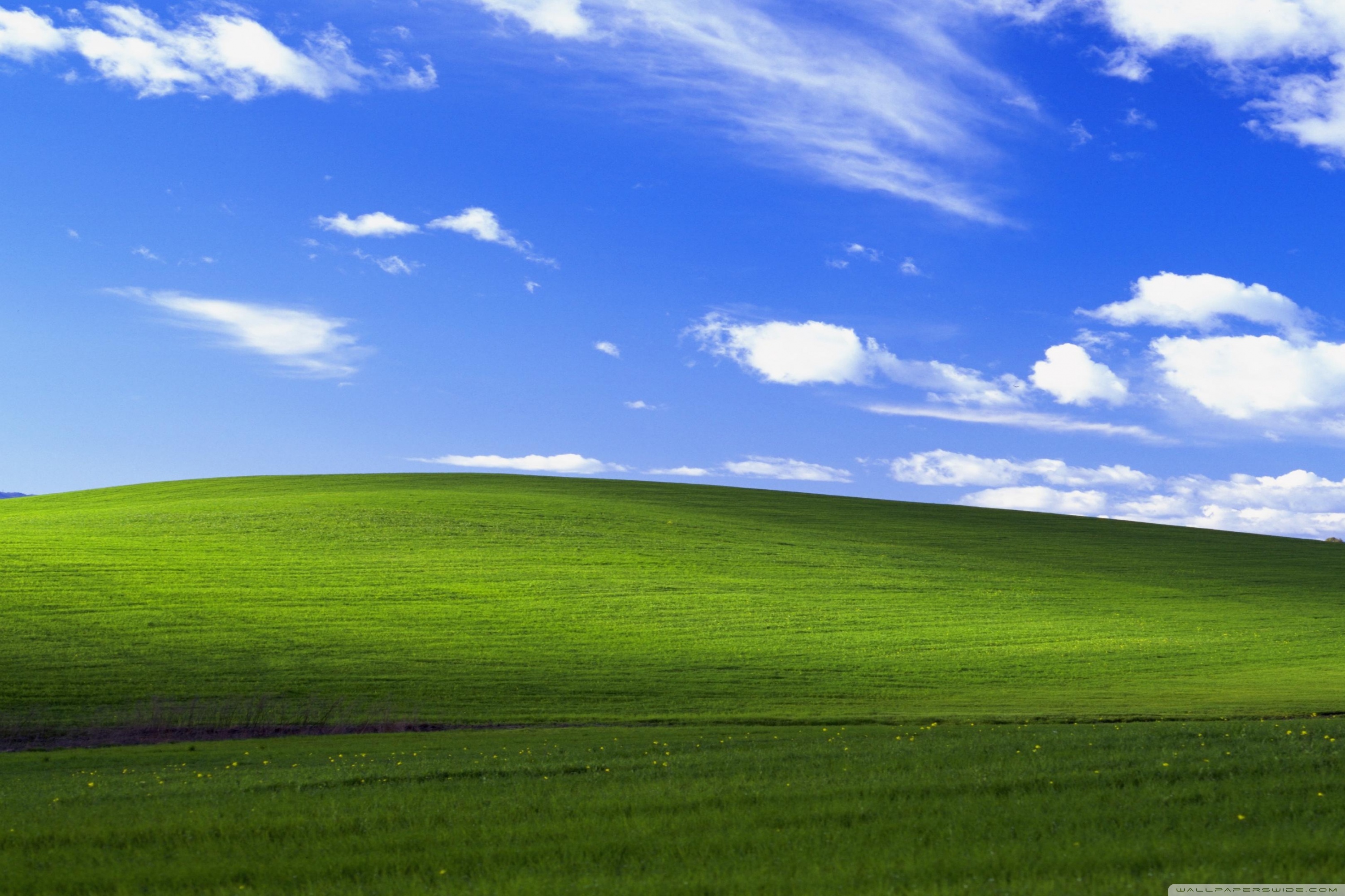 Windows Xp Ultra HD Desktop Background Wallpaper For 4k UHD Tv