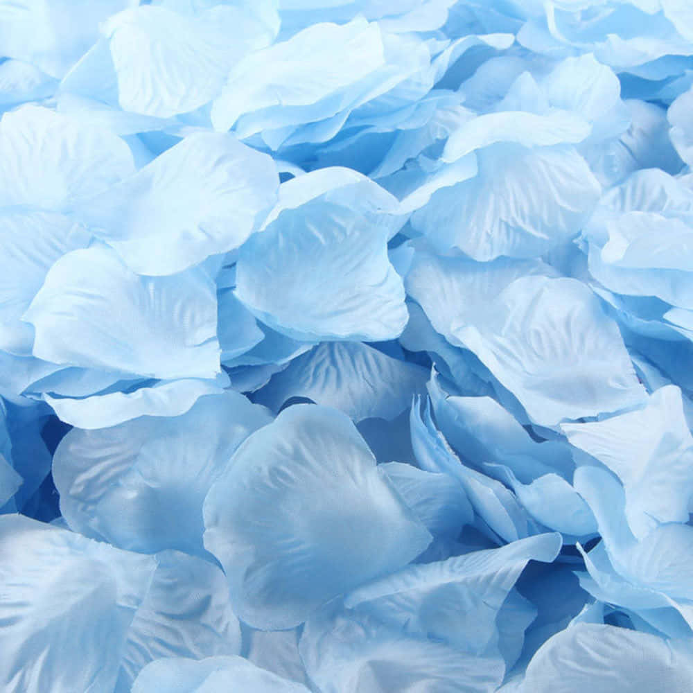 Blue Flowers Aesthetic Wallpaper