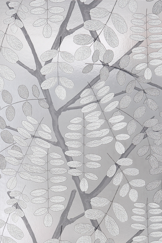 Birch Tree Wallpaper Samples
