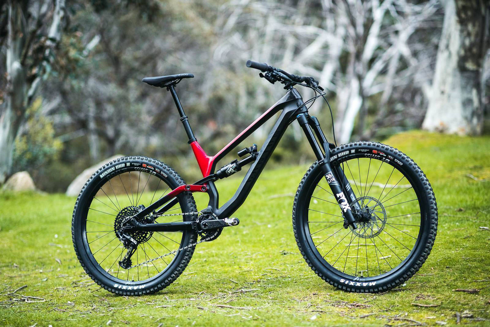 Mountain Bike Wallpaper