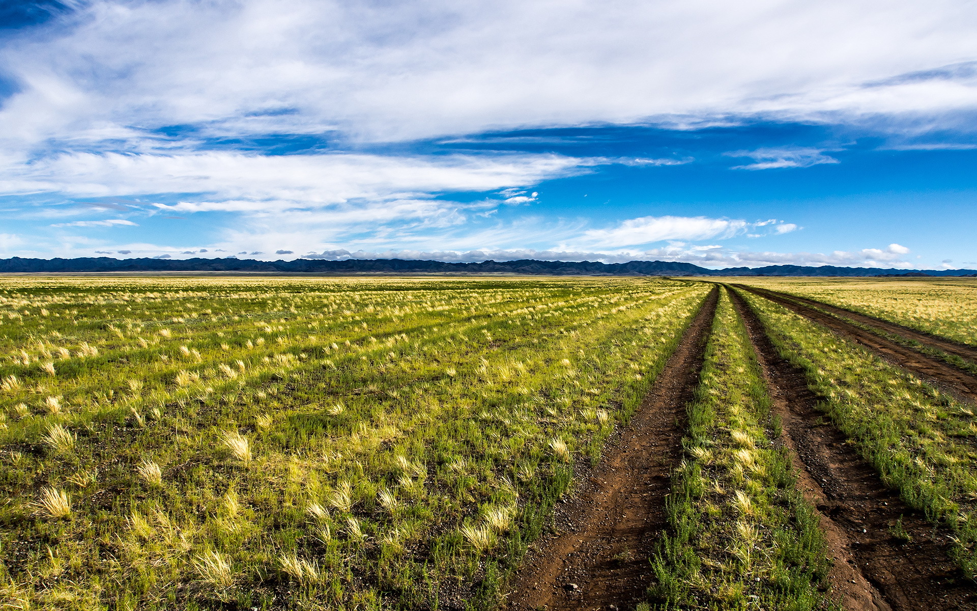 Wallpaper Mongolia Field Road Landscape Landscapes