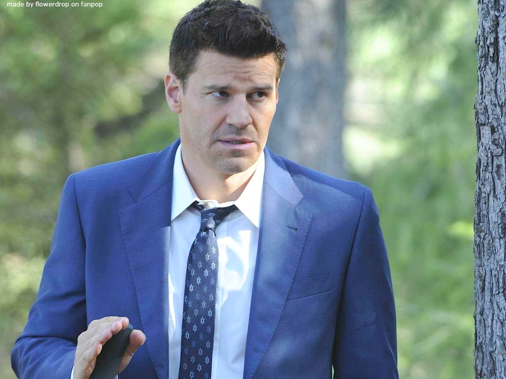 David Boreanaz Wallpaper