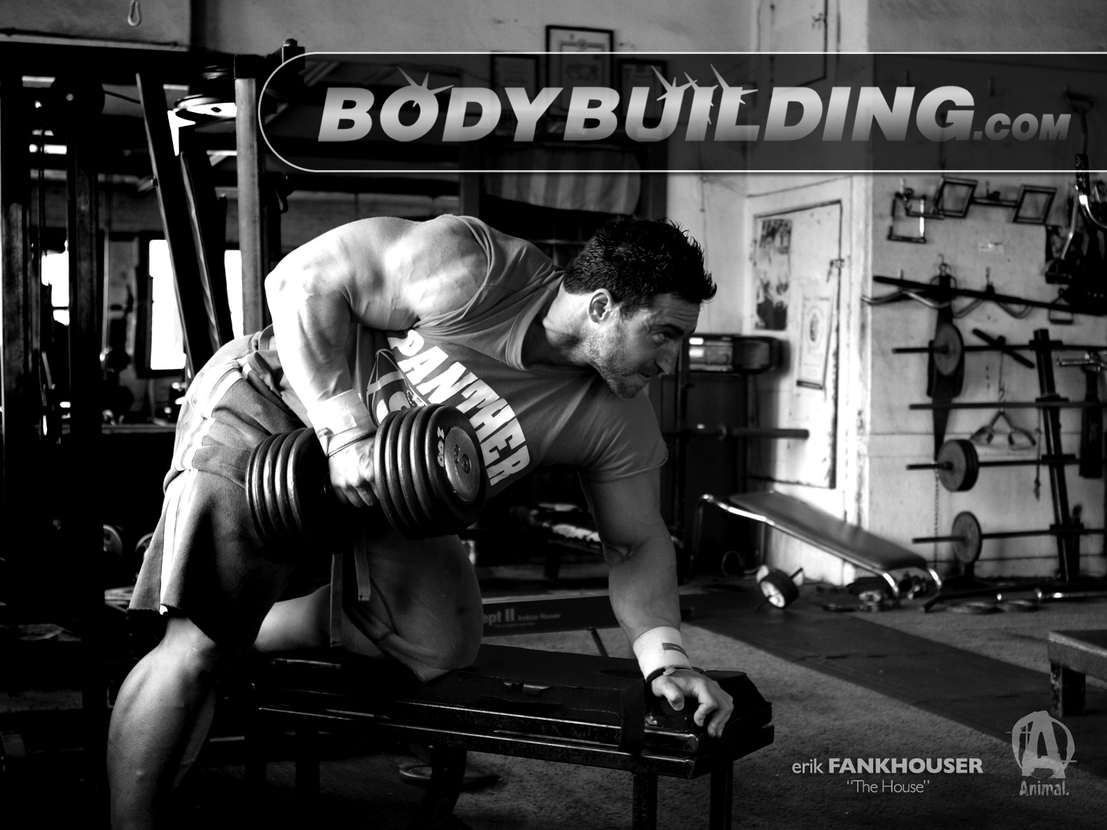 Gym Bodybuilding Wallpaper