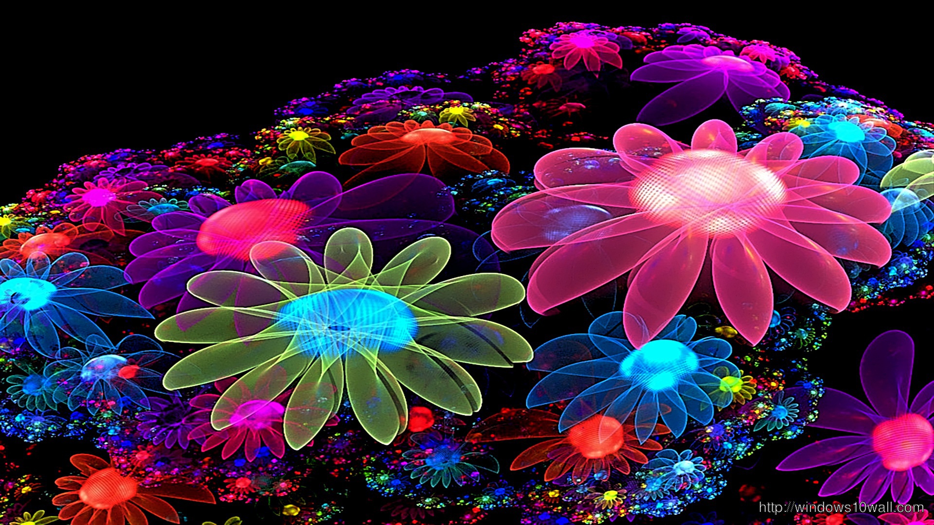 Cool Colorful Flowers Desktop Wallpaper Animated