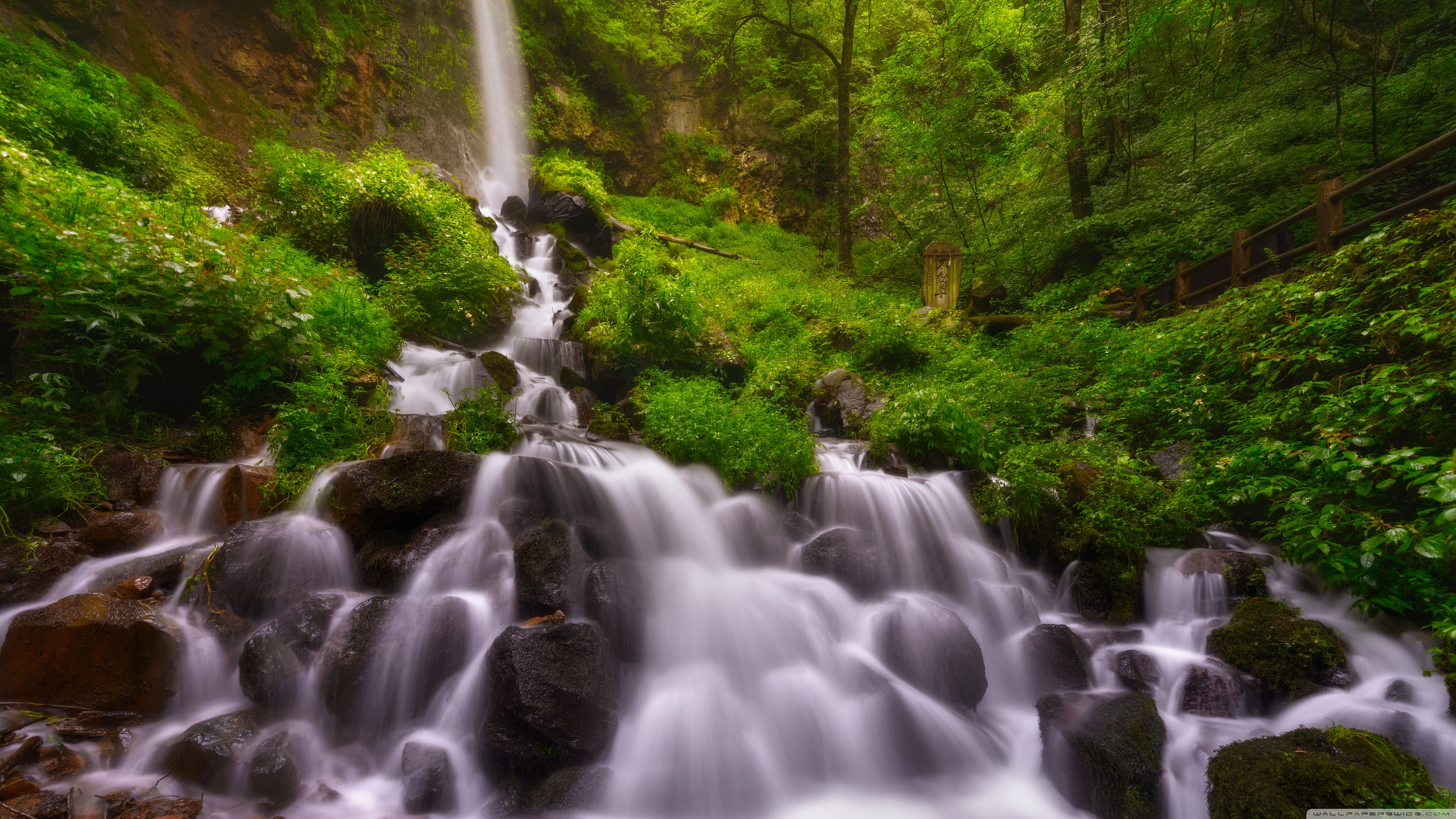 Forest Waterfall Summer 4k HD Desktop Wallpaper For Ultra