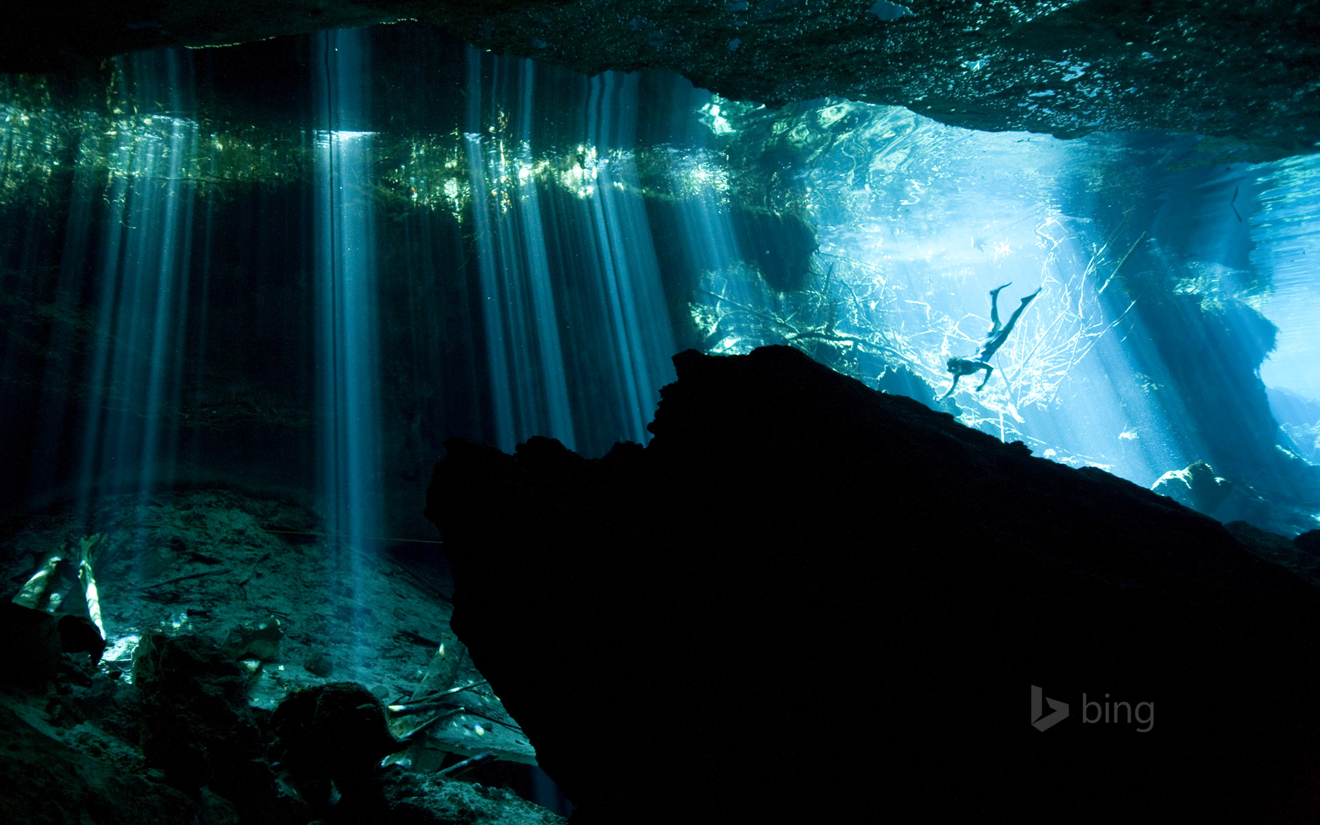 Diver In A Cenote Near Akumal Mexico