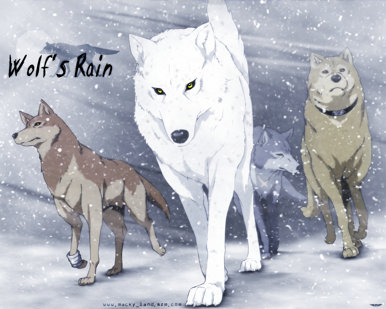 Wolfs Rain Wallpaper Wallpoper