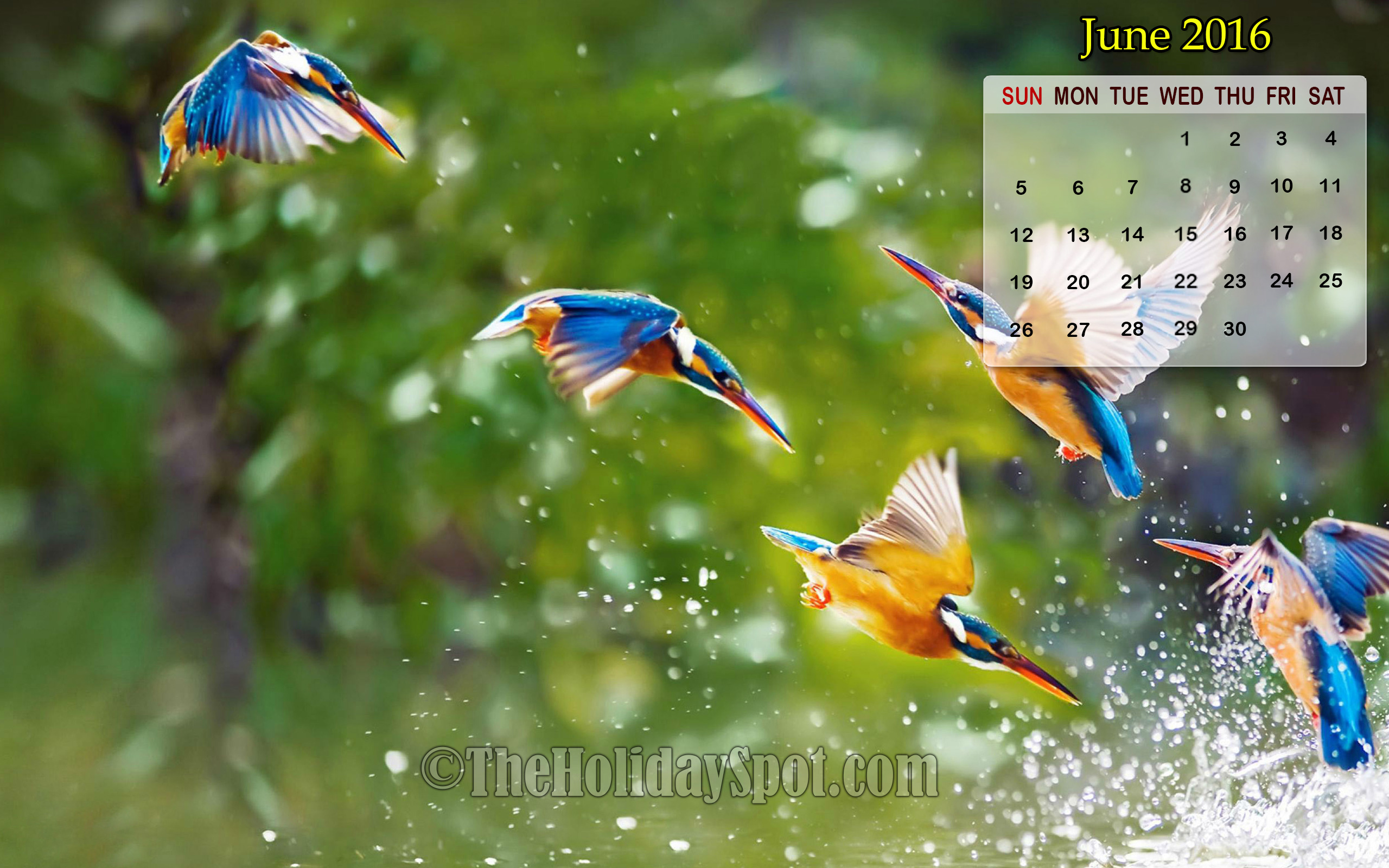 Month Wise Calendar Wallpaper September