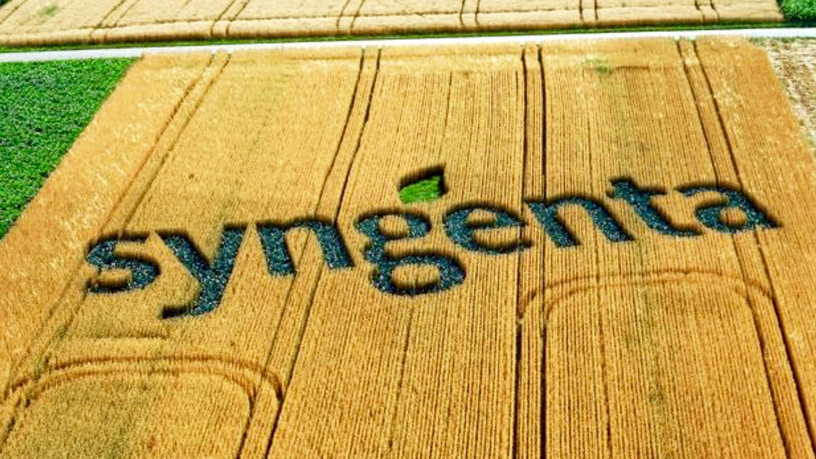 Chemchina Receives Us Approval For Syngenta Buyout