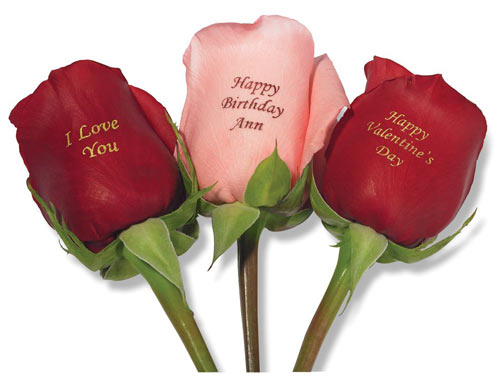 Flowers For Flower Lovers Valentine Day Wallpaper