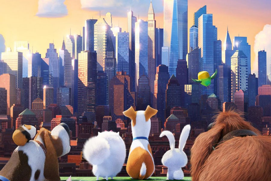 Sequel Buzz The Secret Life Of Pets Sicario And Space Jam