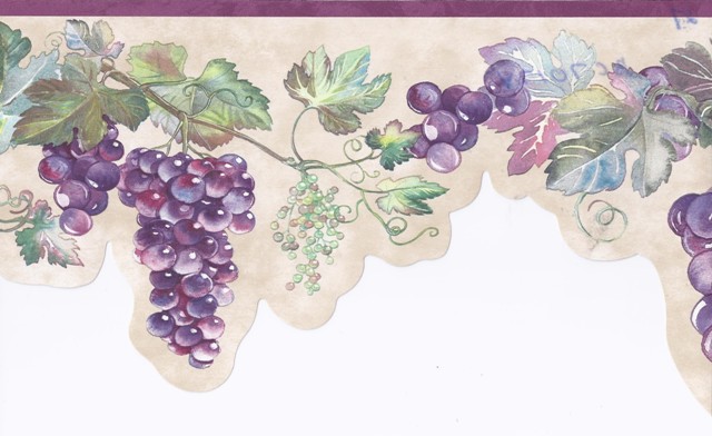 Purple Cream Grape Vine Wallpaper Border Kitchen Bathroom