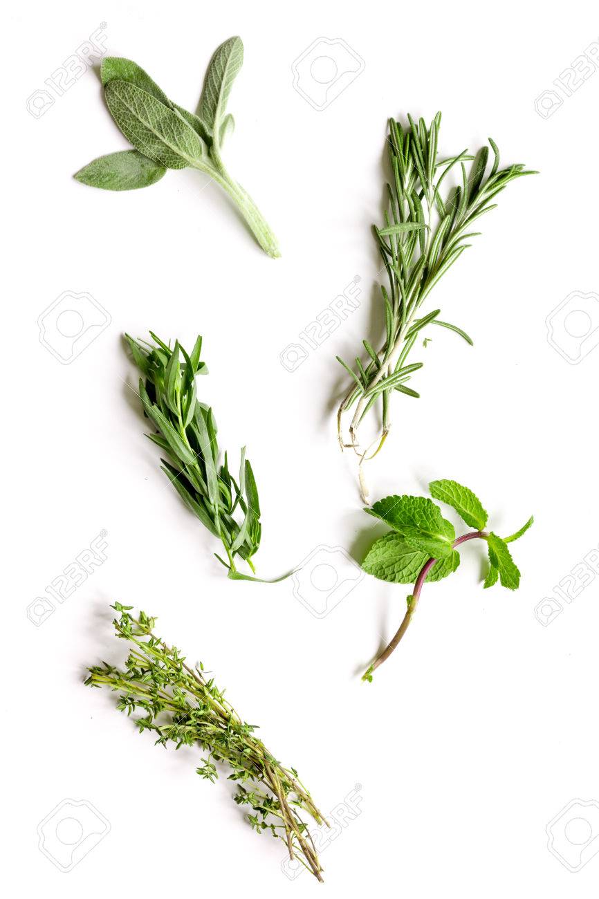 Free download Mint Sage Rosemary Thyme Tufts Of Herbs White Background ...