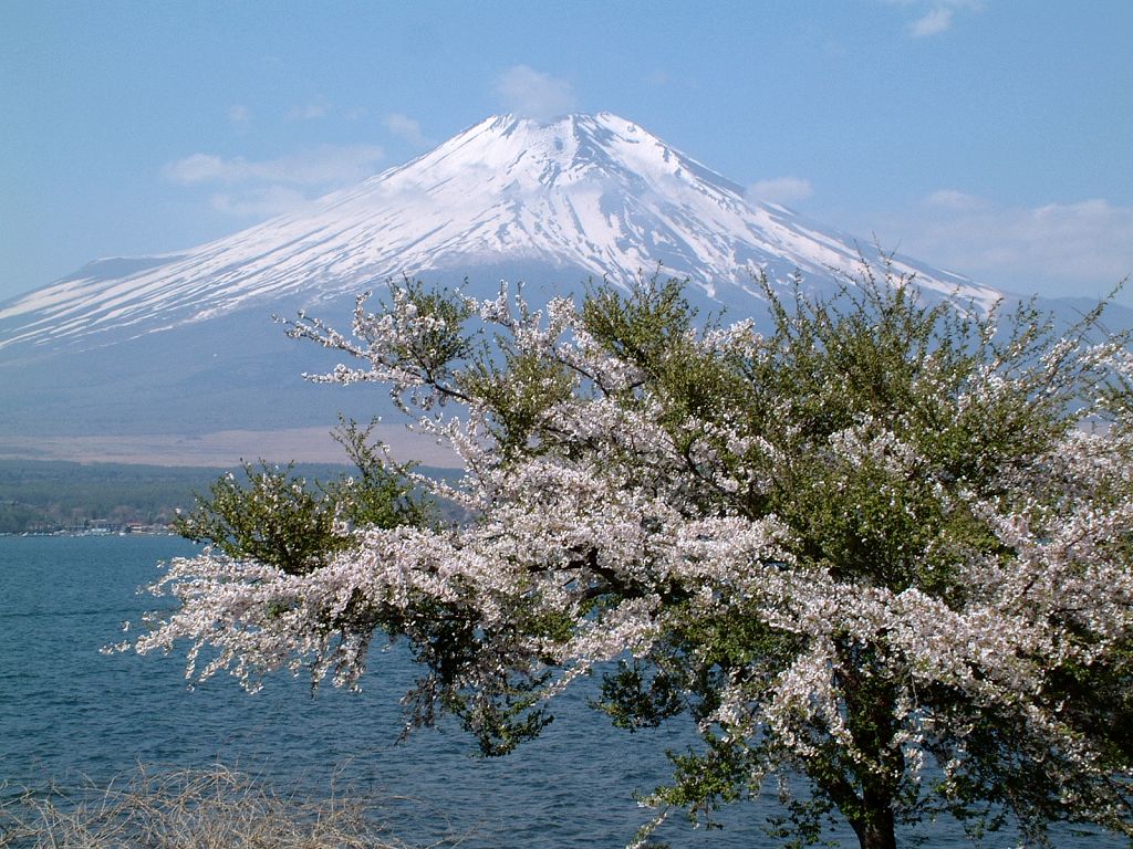 Mount Fuji Travel Wallpaper HD
