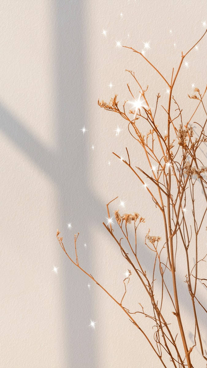 Top Beige Aesthetic Phone Wallpaper Full HD 4k To Use