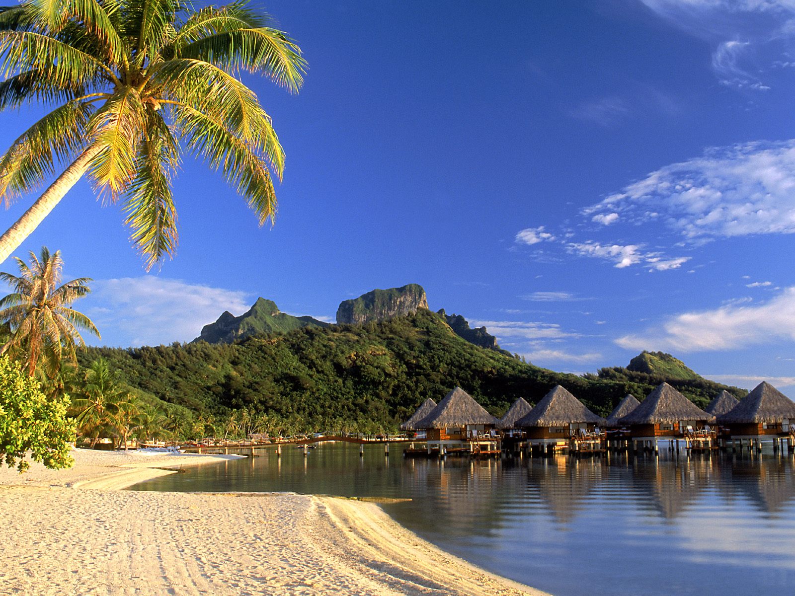 Computer Tropical Wallpaper Beach As