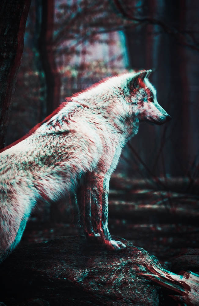 Wolf Wallpaper Pack By Prolite