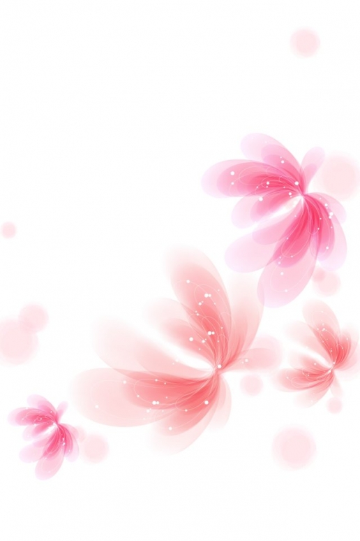 Pink And White Flowers iPhone HD Wallpaper
