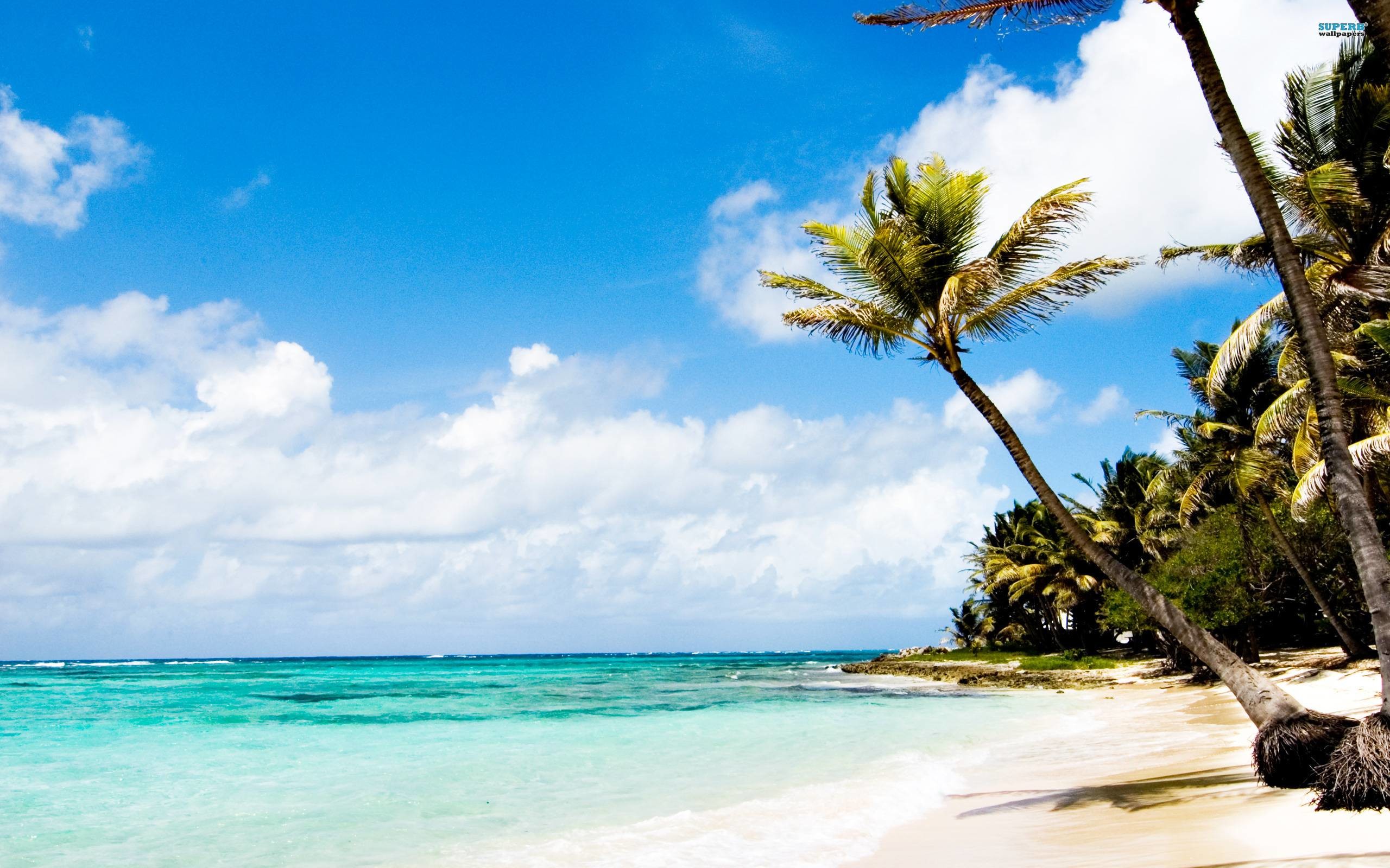 Caribbean Beach Wallpaper
