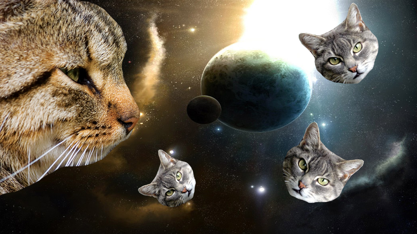 Cats In Space Wallpaper Tumblr Cats in space by dilbert92 1366x768