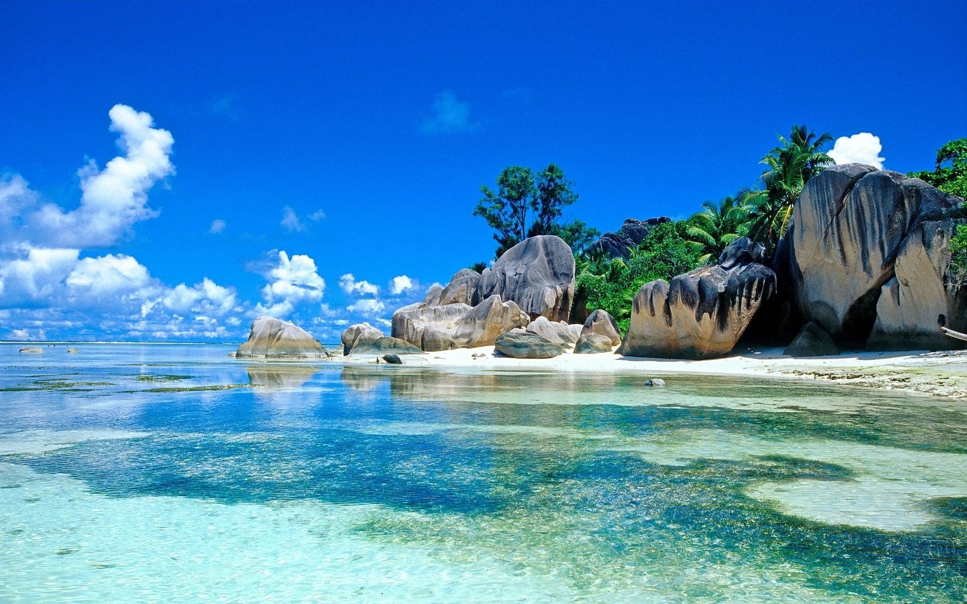 Tropical Background HD