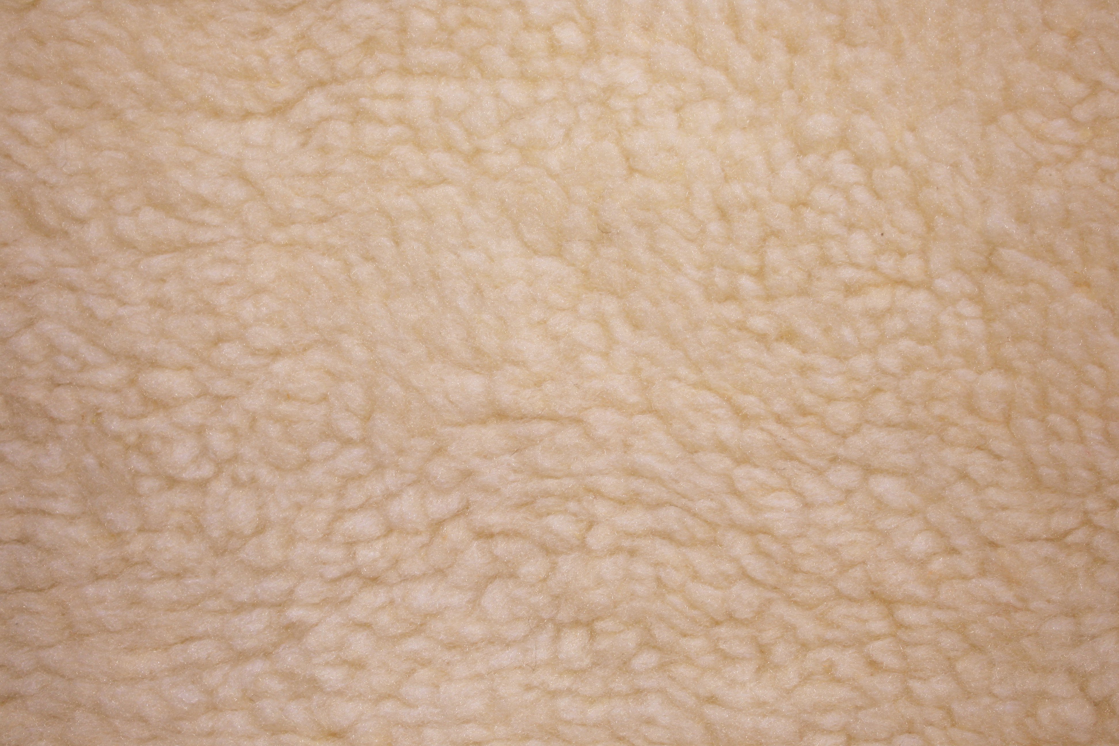 Tan Fleece Faux Sherpa Wool Fabric Texture Picture Photograph