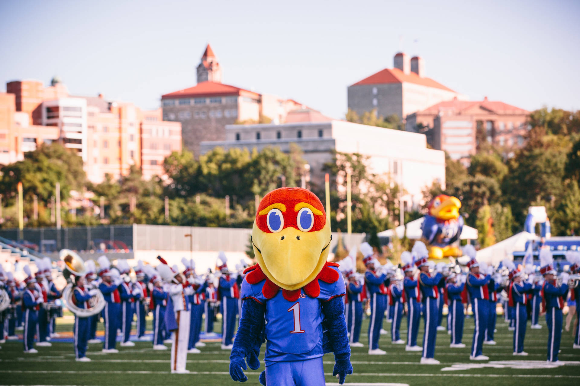 University Of Kansas Wallpaper