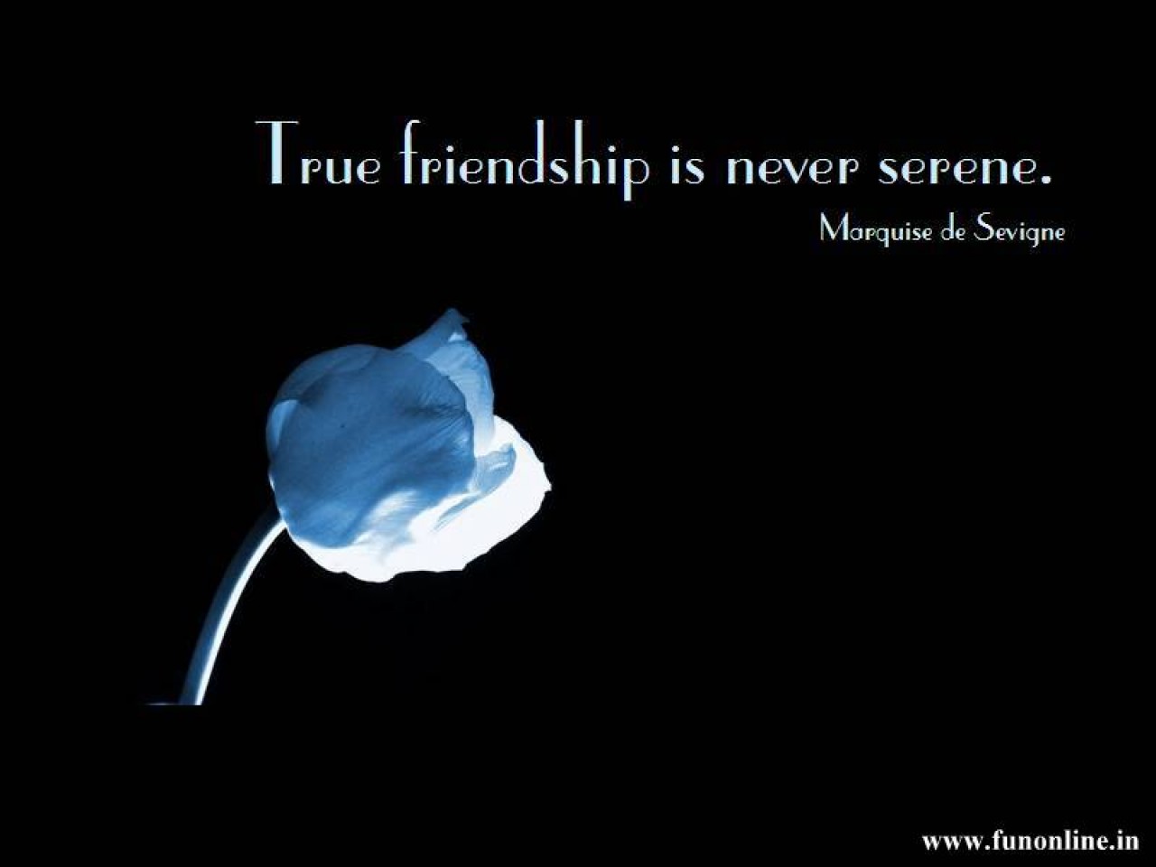 Friendship Wallpapers Lovely Friendship Wallpapers with Quotes