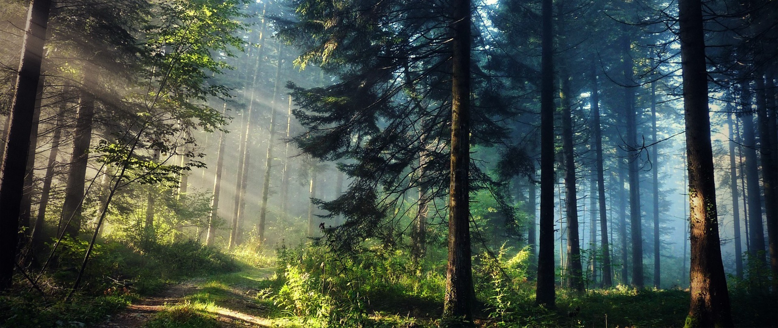 Ultra Wide Photography Wallpaper HD