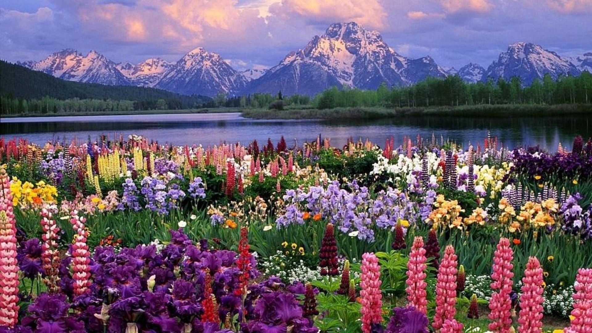 Spring Desktop Wallpaper Top Background