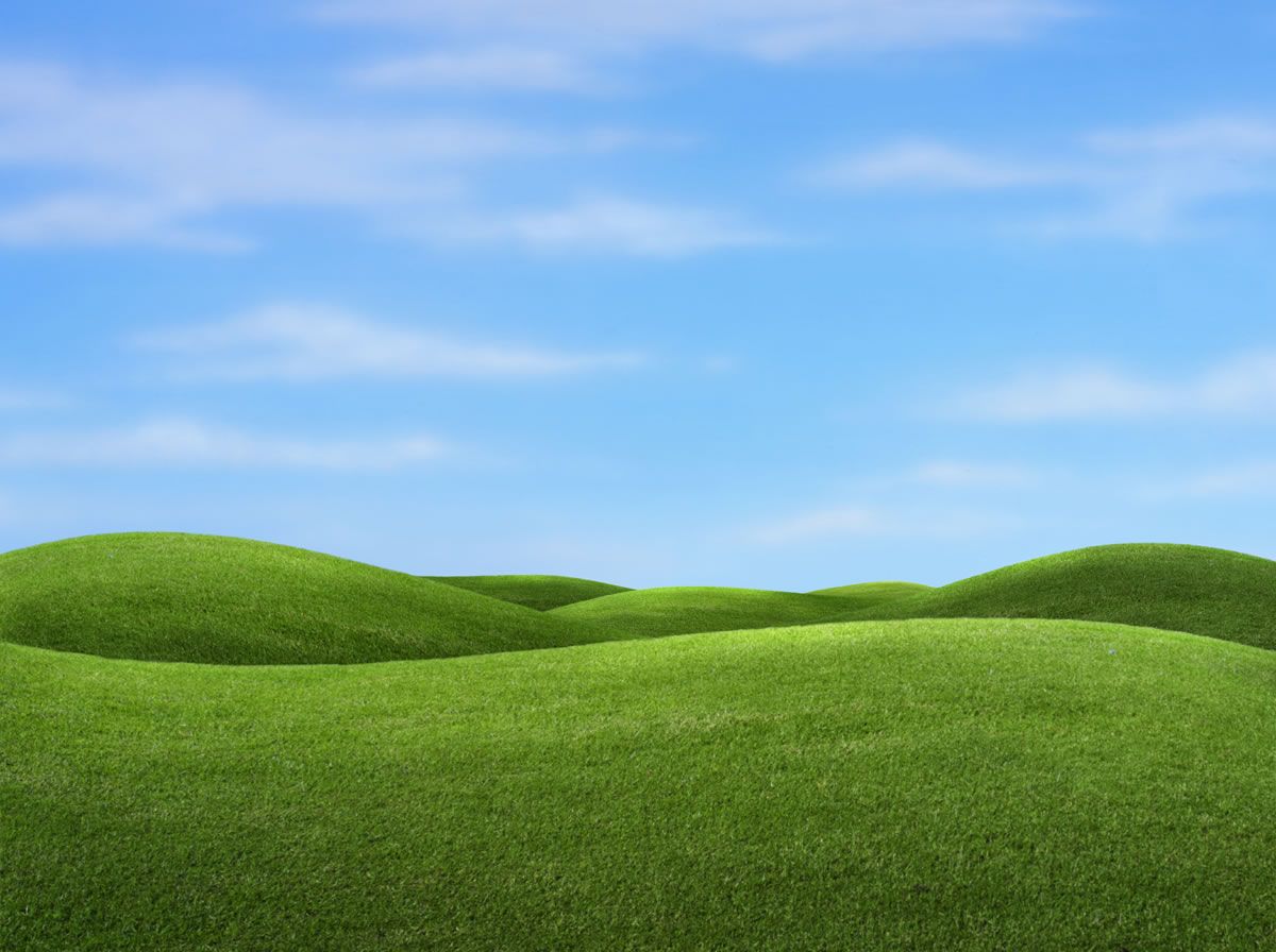 Grass Sky Wallpaper Picswallpaper