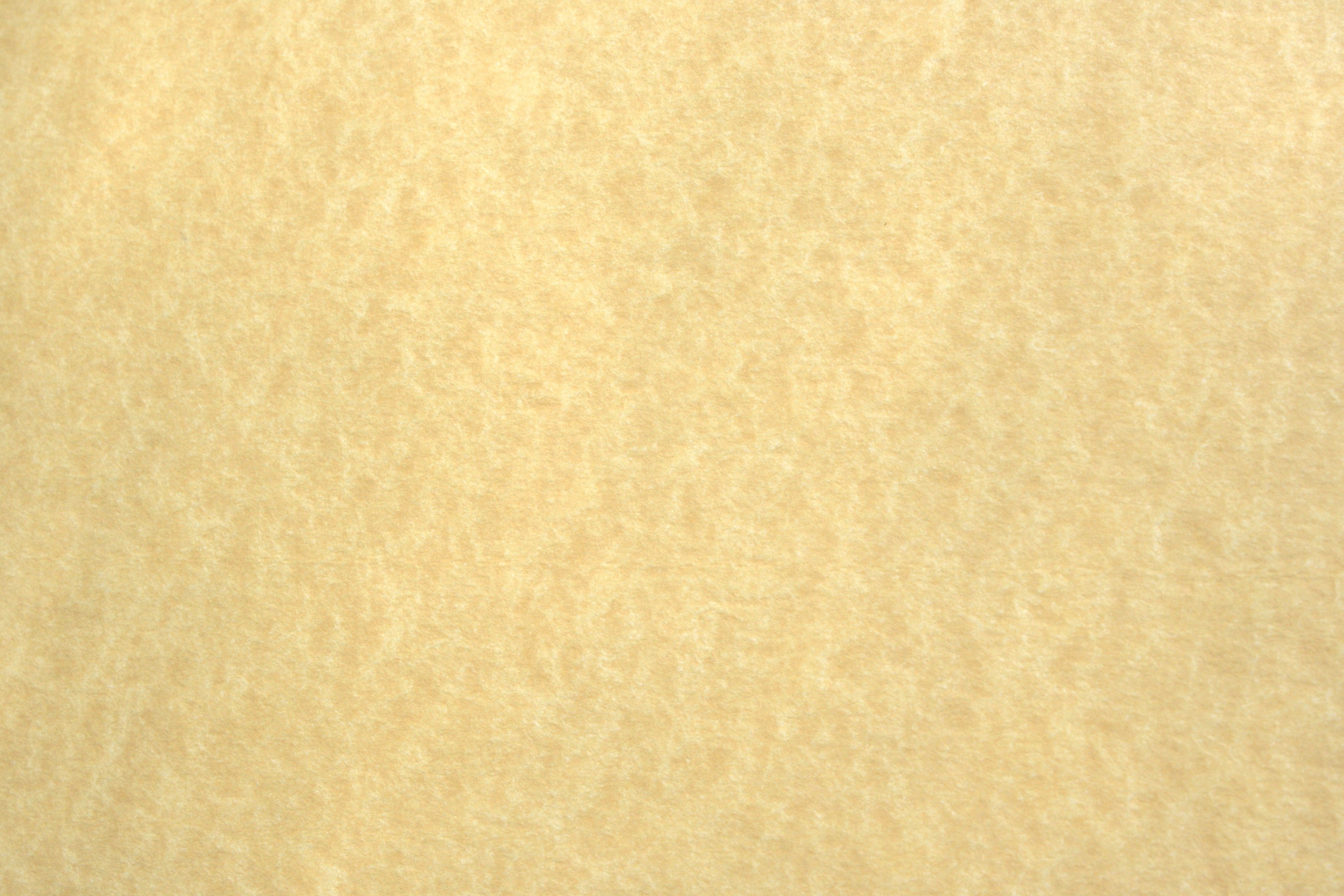 Light Colored Parchment Paper Texture High Resolution Photo