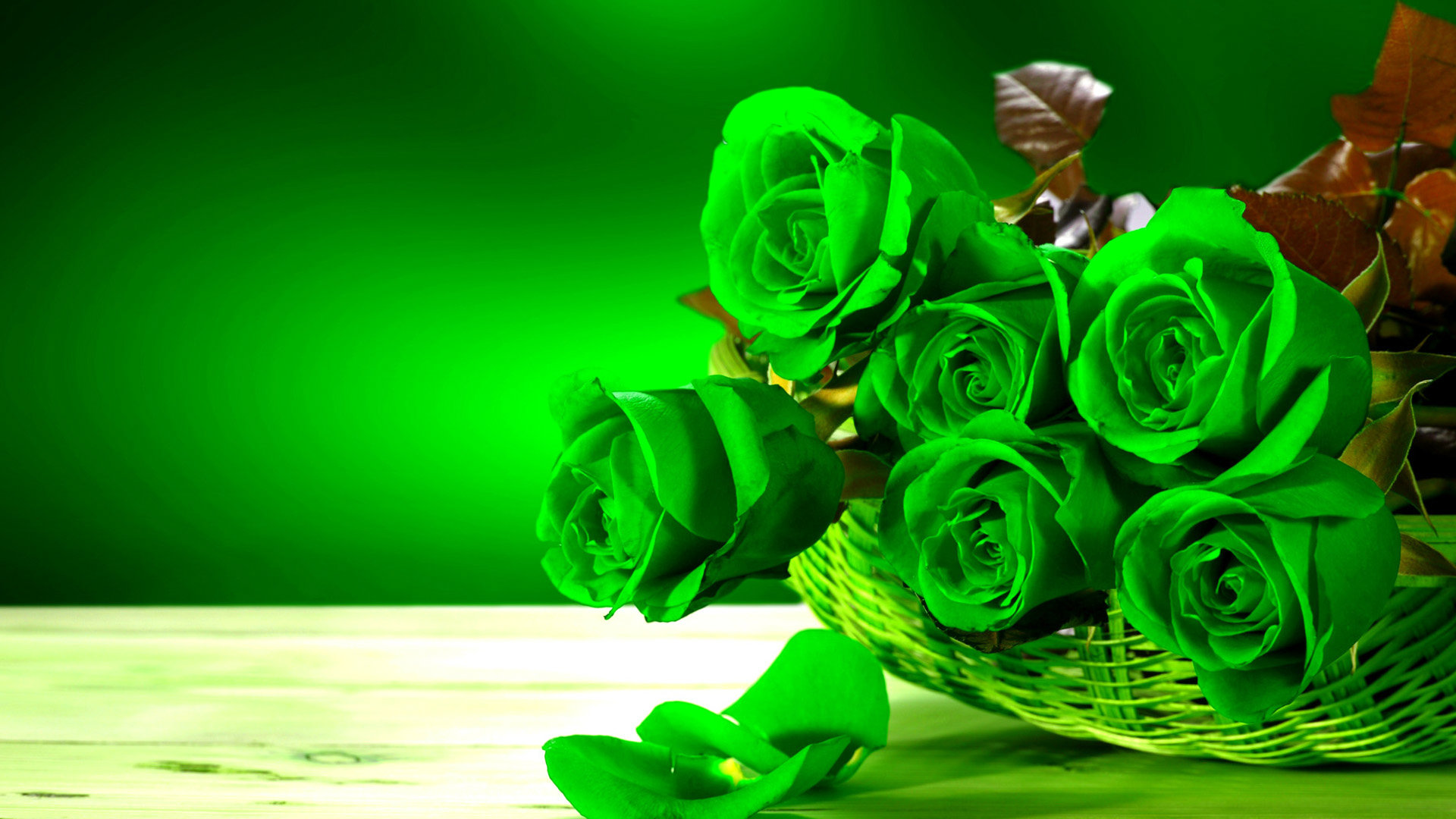Featured image of post Rose Most Beautiful Flowers Wallpapers Hd