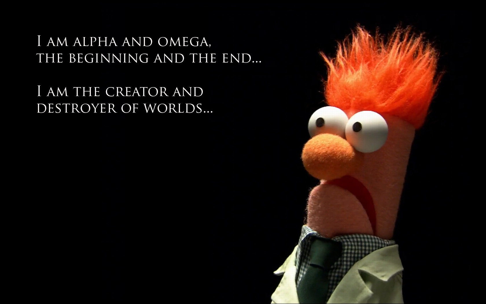 Muppet Quotes Life Wallpaper