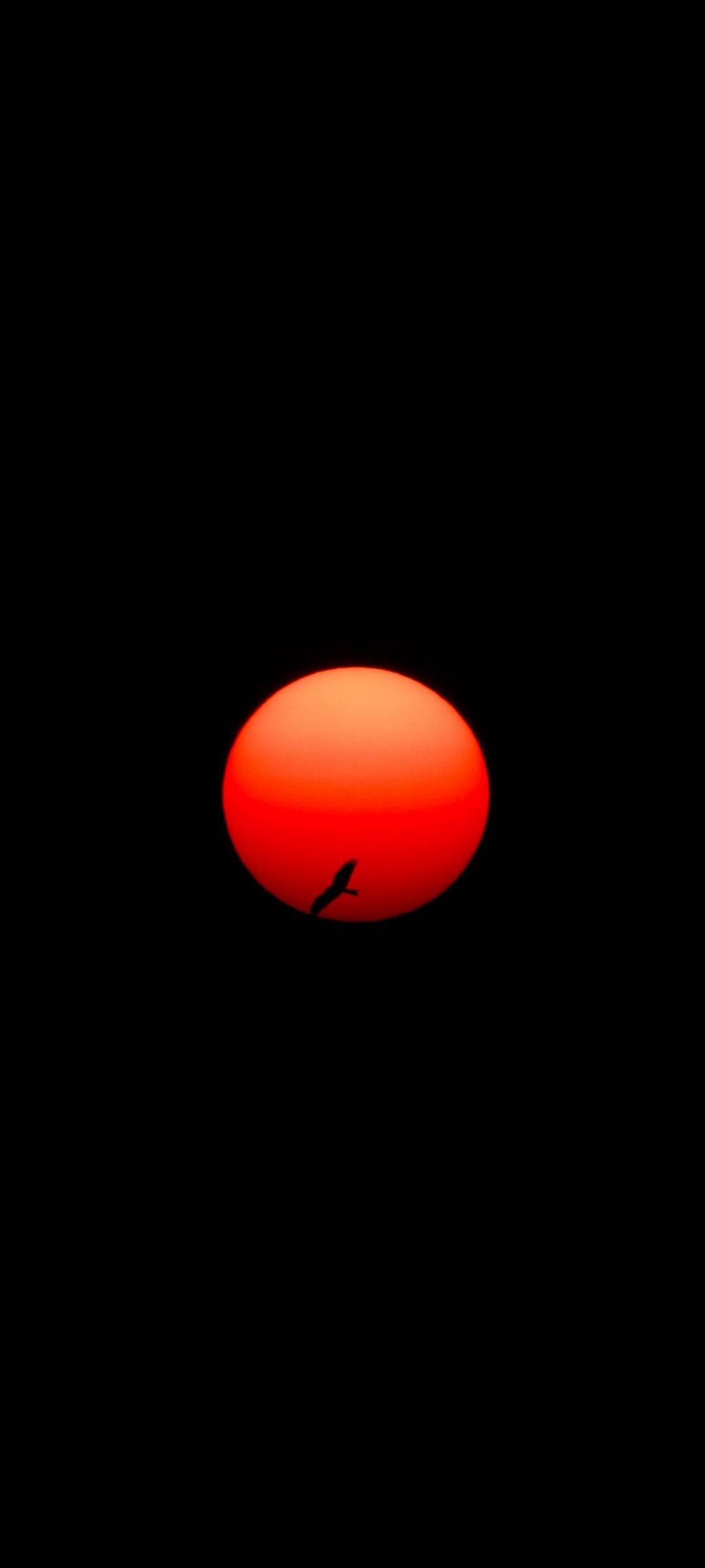 Red Sun
