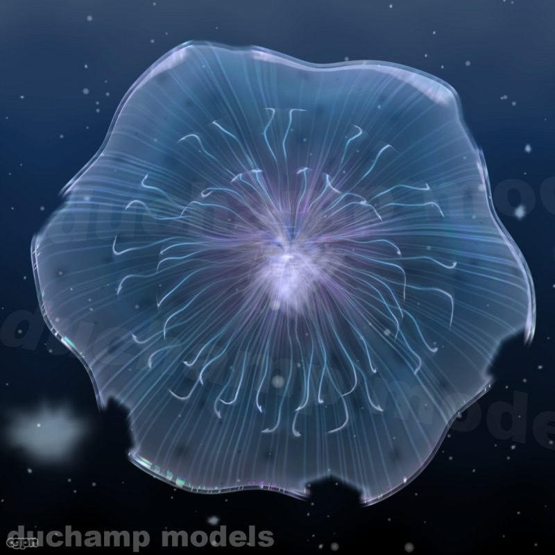 Pix For Animated Jellyfish Wallpaper
