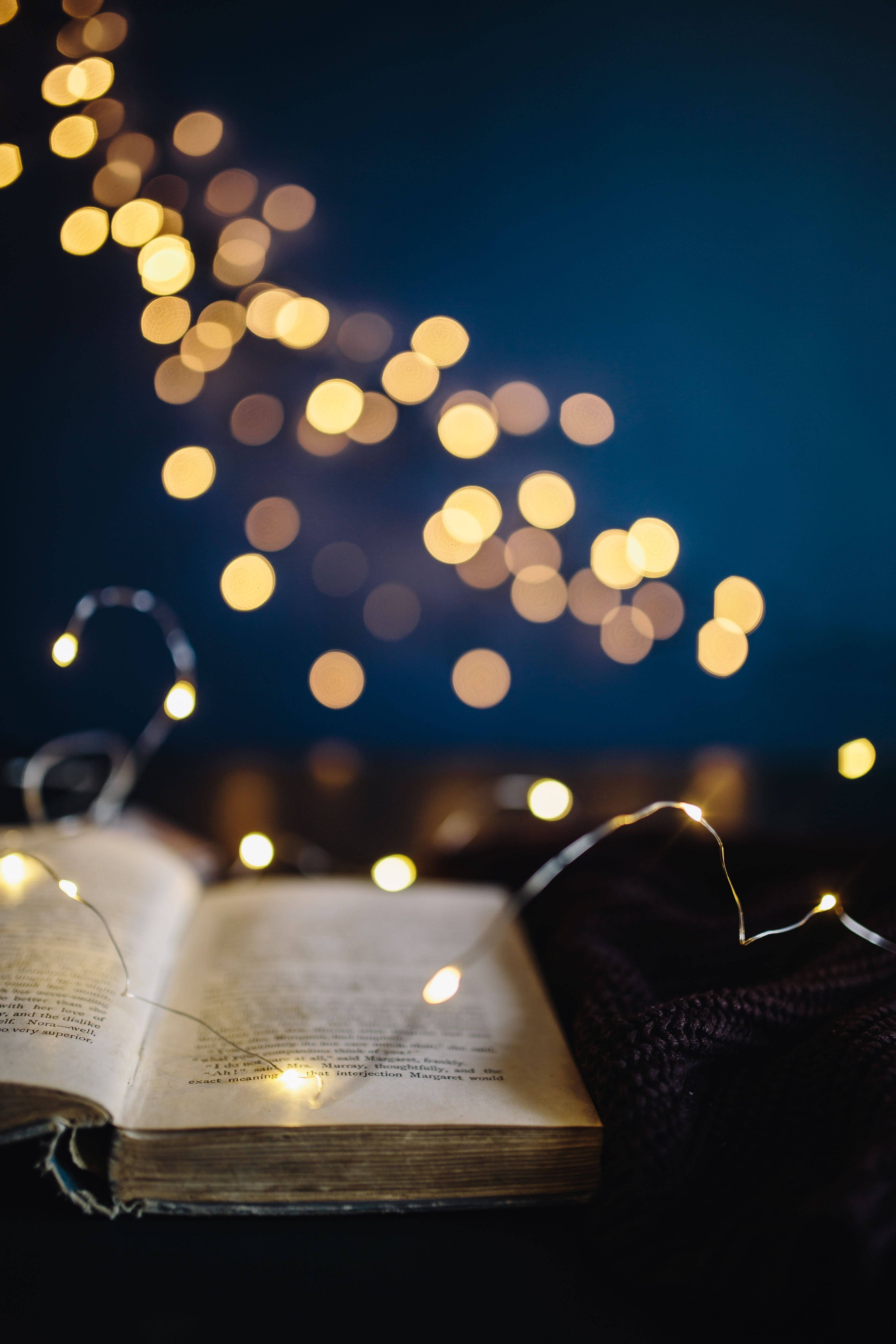 Fairy Lights Aesthetic Wallpaper