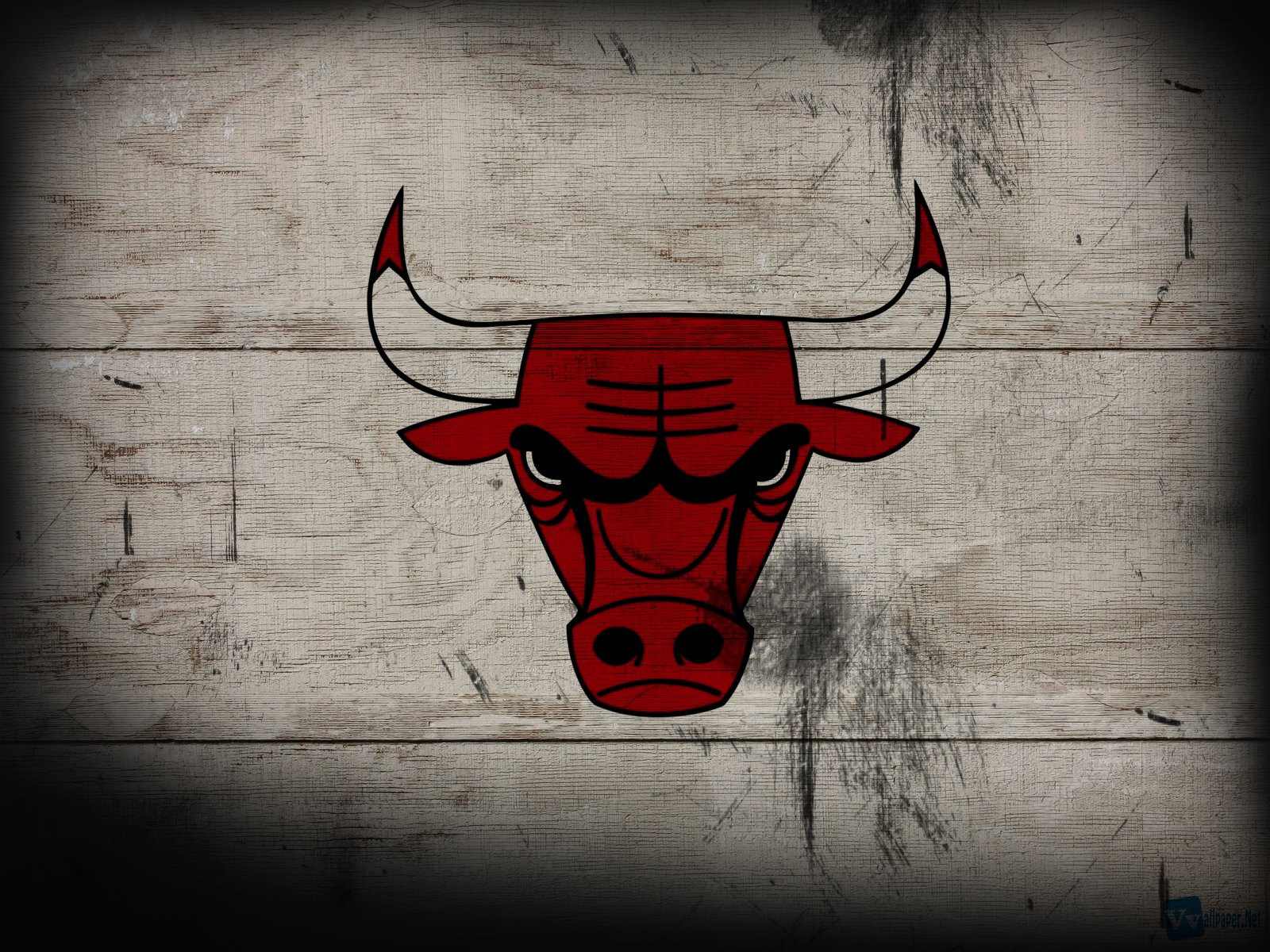 Bulls Basketball Team Logo HD Wallpaper Background