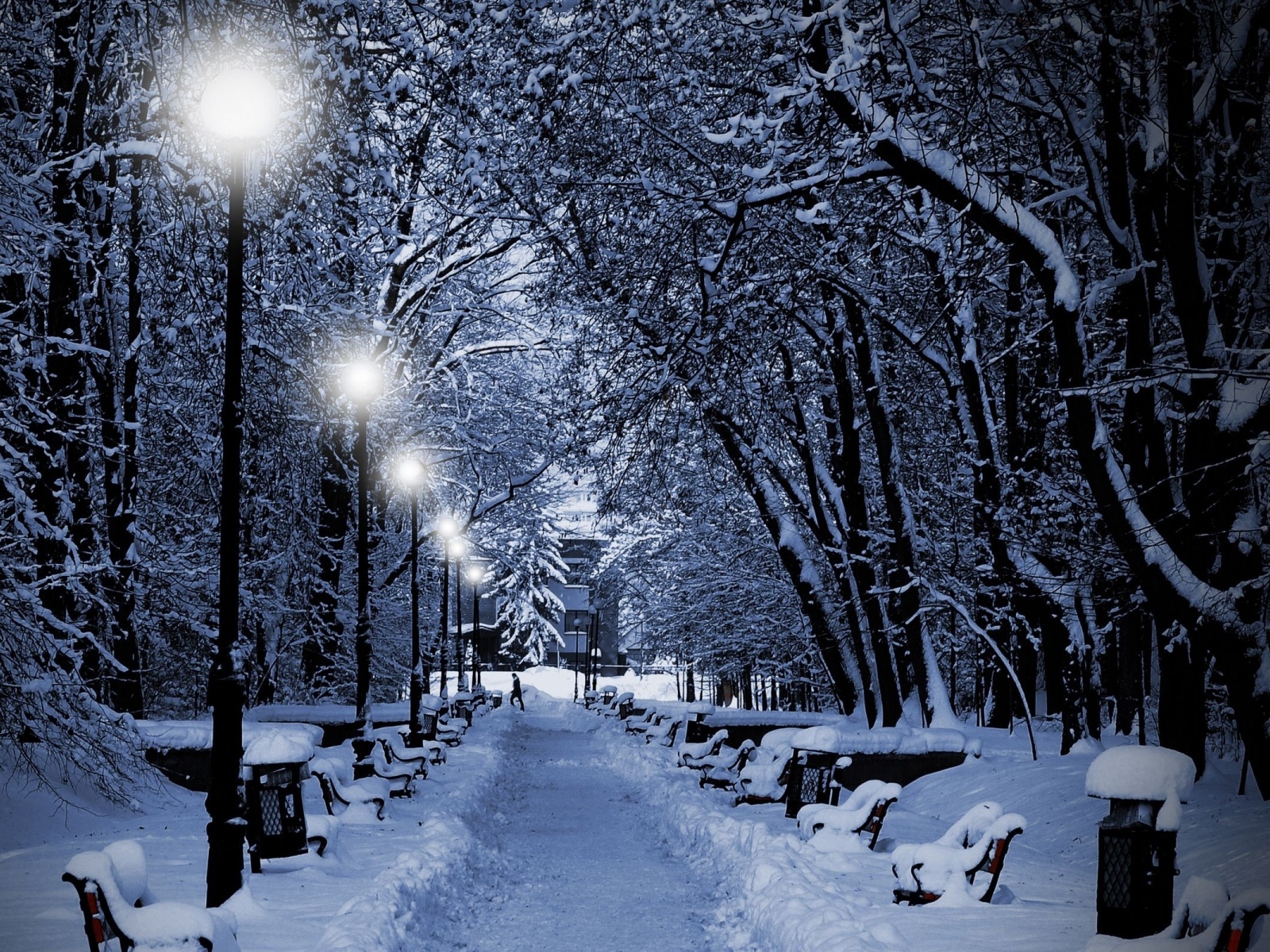 Winter Trees Lamps Way Desktop Pc And Mac Wallpaper