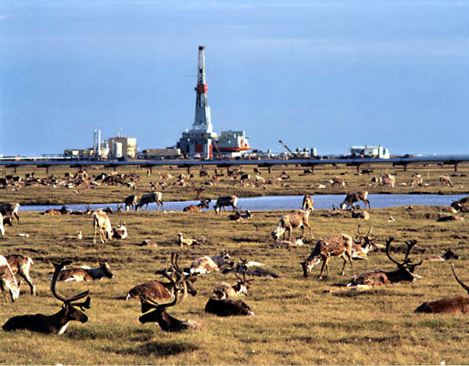 Prudhoe Bay Alaska Oil Field And Bays