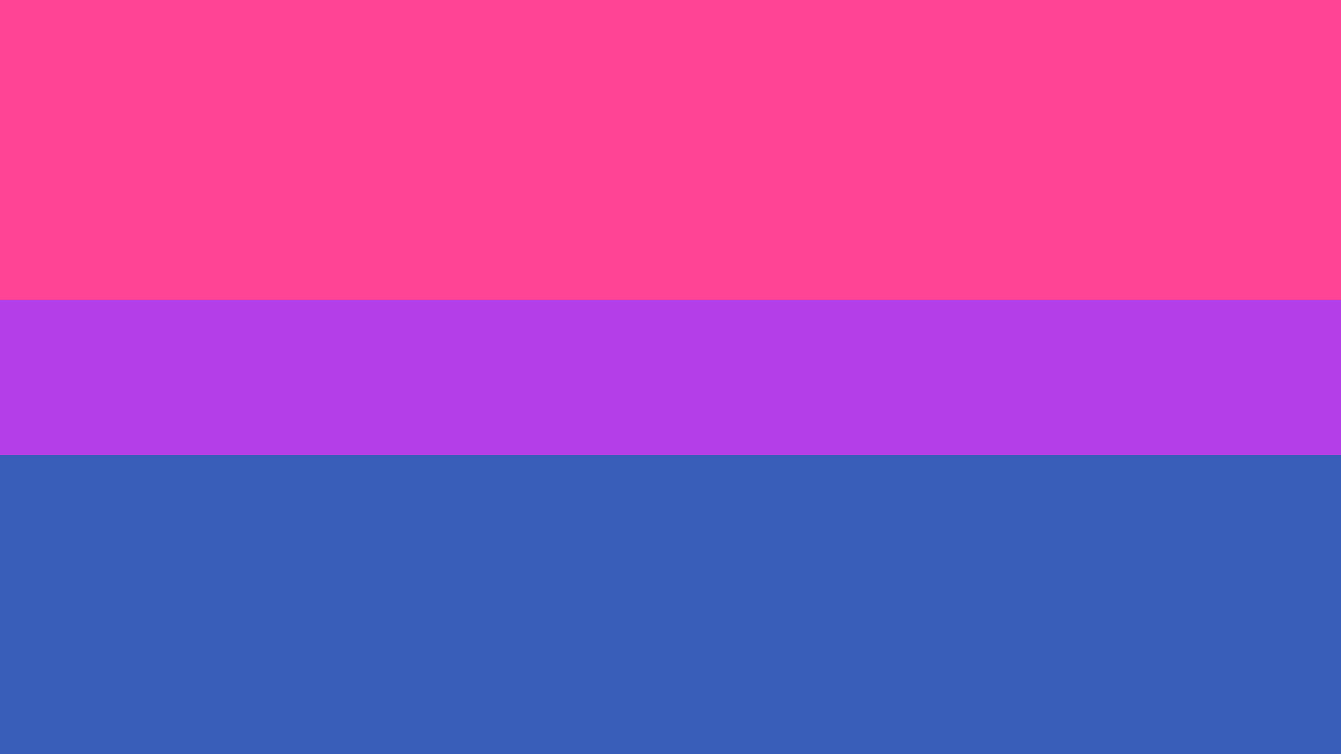 Michael Bisexual Pride Flag Queer Art History