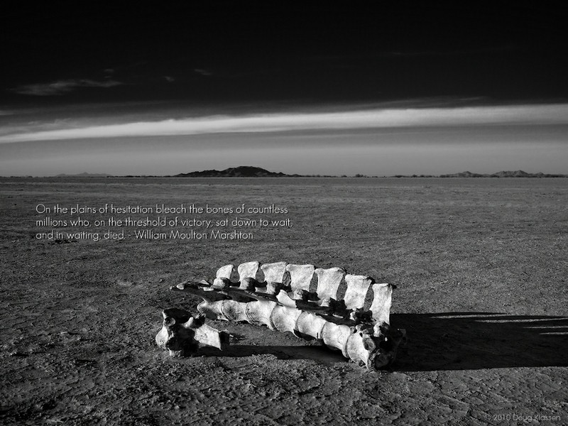 Desert Quotes Bones Wallpaper Hq Background HD