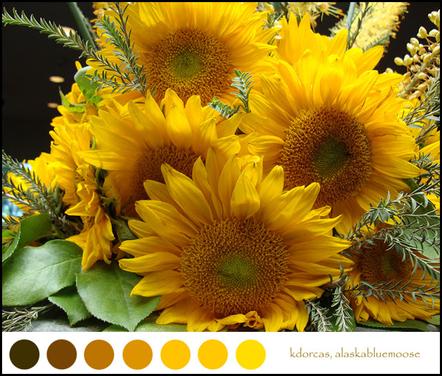 Free download sunflower wallpaper border kitchen [640x544] for your