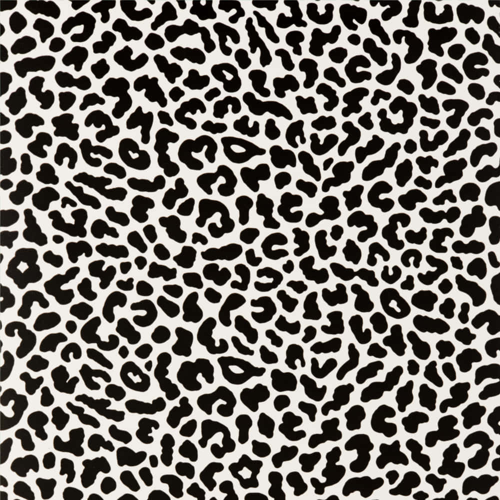 Aesthetic Cute Cheetah Print Wallpaper
