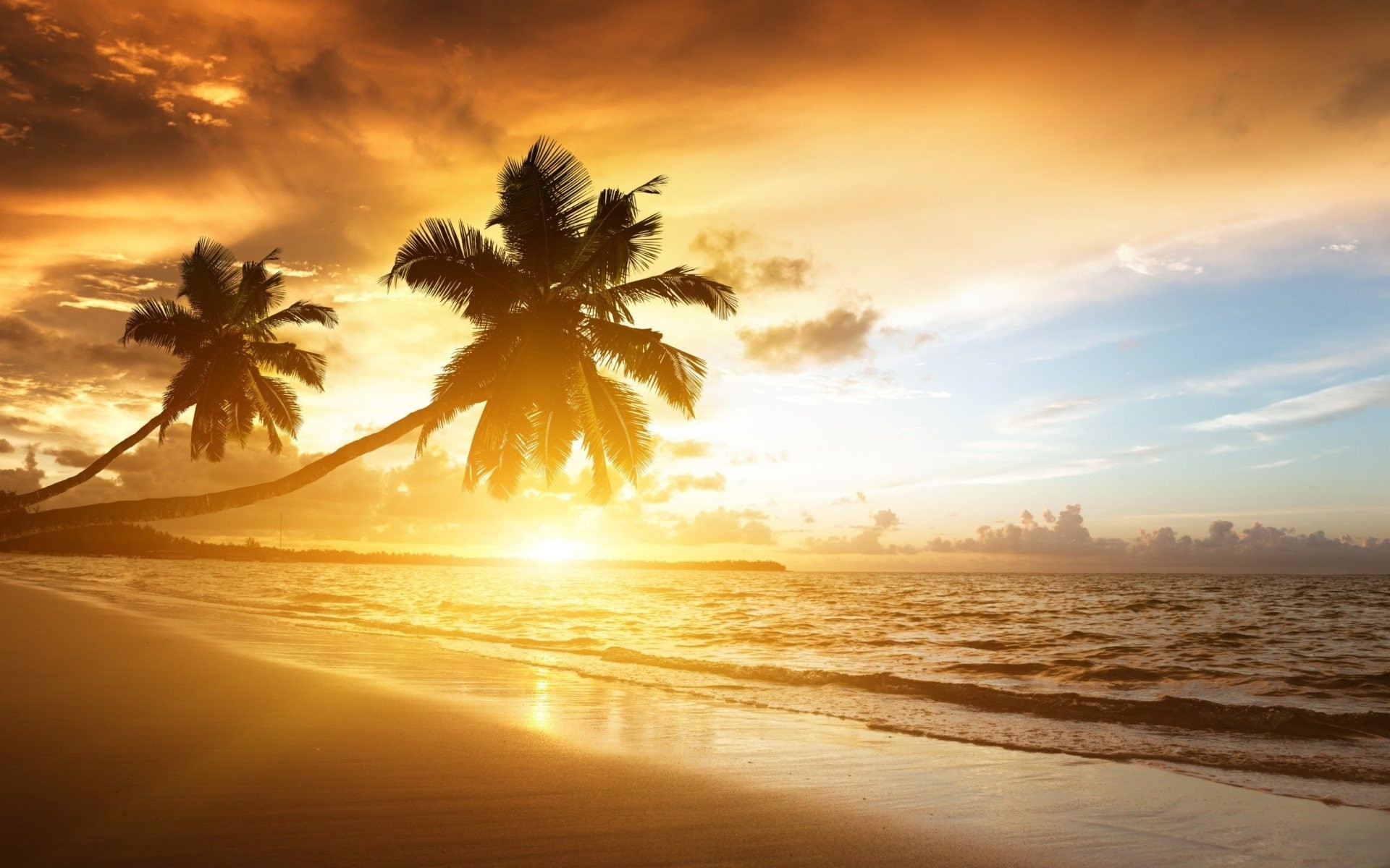 Silhouette of palm trees on a tropical beach at sunset