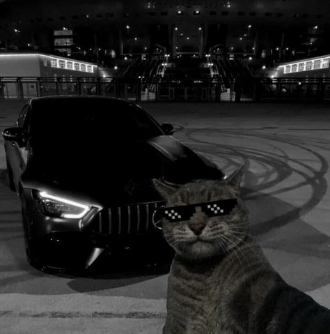 Car Pfp Aesthetic Wallpaper