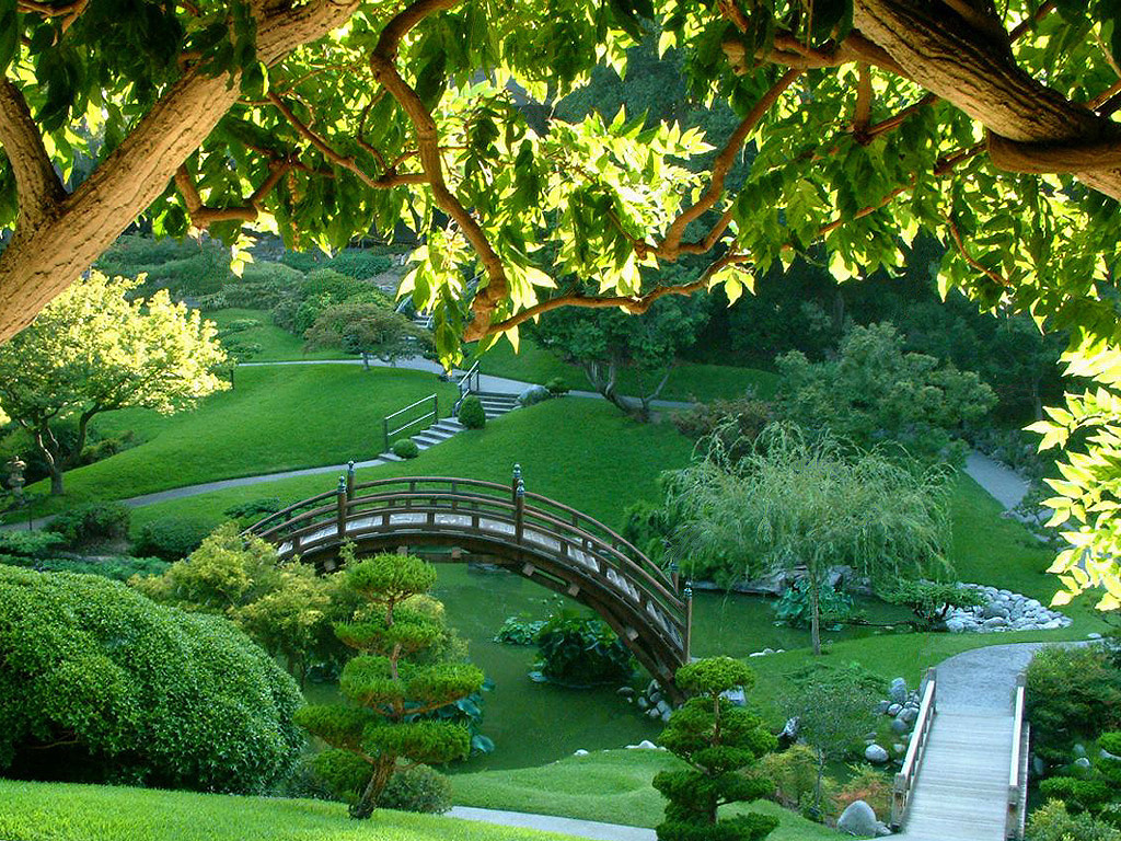 Wallpaper S Japanese Green Garden