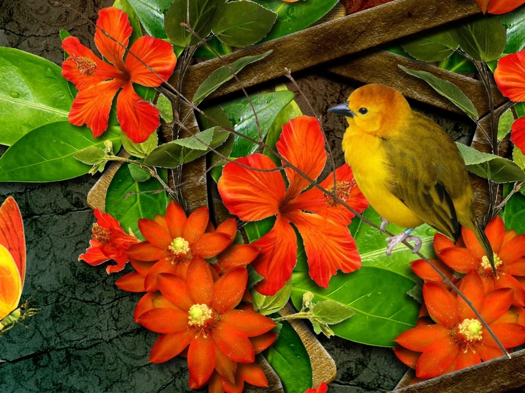Bright Orange Flowers With Bird And Butterfly Wallpaper