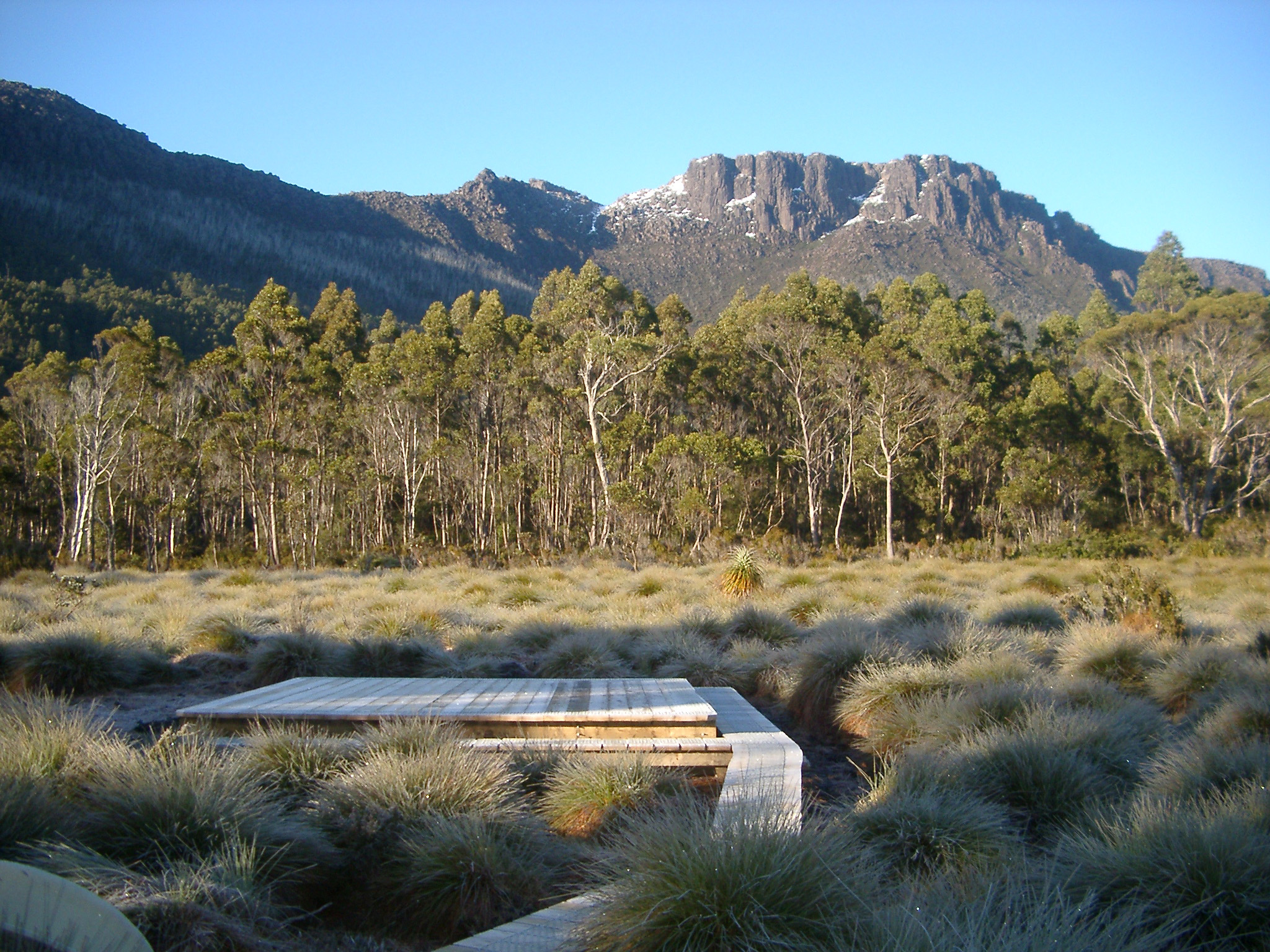 Stock Photo Of Boardwalk On Frosty Morning In Tasmania