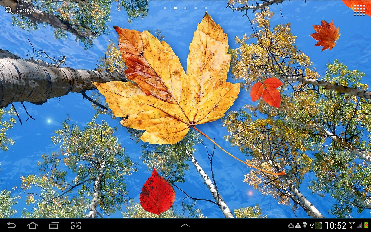 Free download Autumn Leaves Live Wallpaper Android Apps and Tests  AndroidPIT [1280x800] for your Desktop, Mobile & Tablet | Explore 48+ The  Yellow Wallpaper Reading Guide | The Yellow Wallpaper Study Guide,